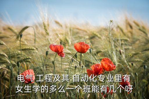  電氣 工程及其 自動(dòng)化專業(yè)里有 女生學(xué)的多么一個(gè)班能有幾個(gè)呀