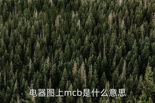 電器圖上mcb是什么意思