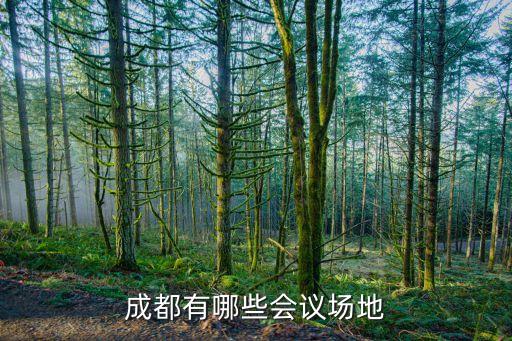 成都有哪些會(huì)議場(chǎng)地