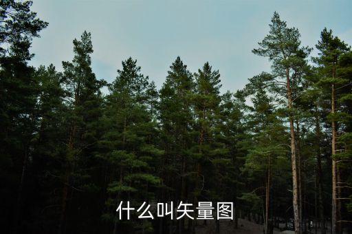 失量圖，位圖與失量圖有什么區(qū)別