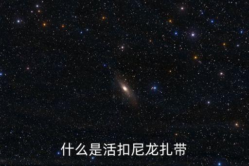 什么是活扣尼龍扎帶