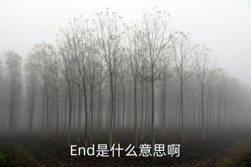 End是什么意思啊