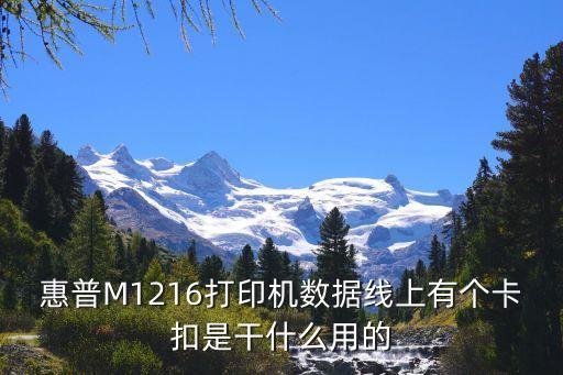 惠普M1216打印機(jī)數(shù)據(jù)線上有個(gè)卡扣是干什么用的