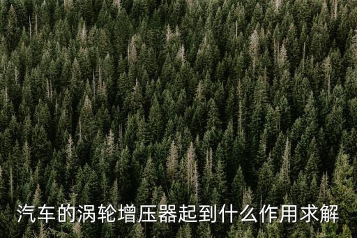 汽車(chē)的渦輪增壓器起到什么作用求解