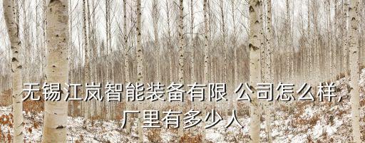 無(wú)錫江嵐智能裝備有限 公司怎么樣,廠里有多少人