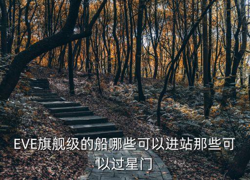 旗艦級，旗艦有多少級啊