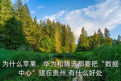 為什么蘋果、華為和騰訊都要把“數(shù)據(jù)中心”建在貴州,有什么好處