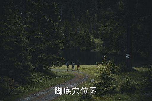 腳底穴位圖