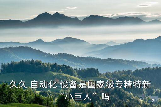 久久 自動(dòng)化 設(shè)備是國(guó)家級(jí)專精特新“小巨人”嗎