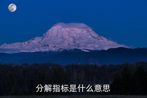分解指標(biāo)是什么意思