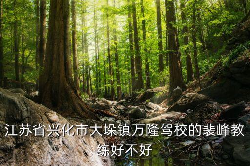江蘇省興化市大垛鎮(zhèn)萬隆駕校的裴峰教練好不好