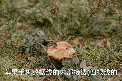 typec數(shù)據(jù)線圖,typec數(shù)據(jù)線是什么?