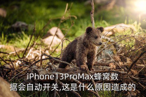 iPhone13ProMax蜂窩數(shù)據(jù)會自動開關(guān),這是什么原因造成的