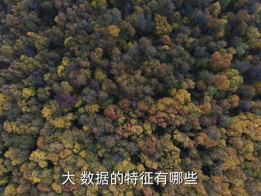 大 數(shù)據(jù)的特征有哪些