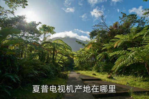 夏普電視機(jī)，夏普電視的缺點(diǎn)