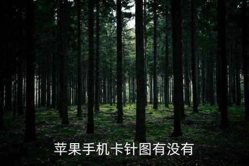 蘋果卡針，蘋果卡針怎么用