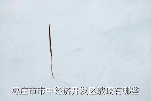 廈門市創(chuàng)研自動(dòng)化科技有限公司