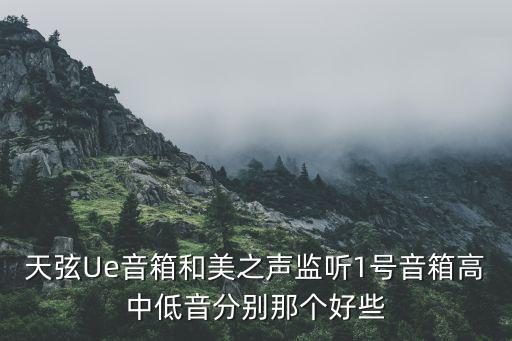 天弦，支付寶天弦基金是什么