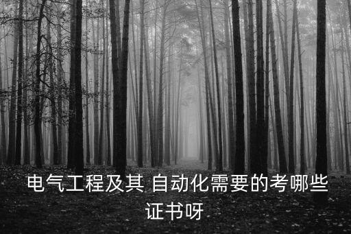  電氣工程及其 自動(dòng)化需要的考哪些證書呀