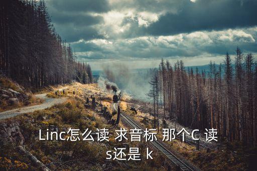 linc，Linc怎么讀 求音標 那個C 讀 s還是 k