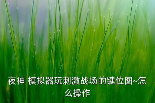 夜神安卓模擬器