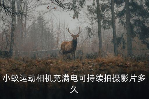 小蟻運動相機充滿電可持續(xù)拍攝影片多久