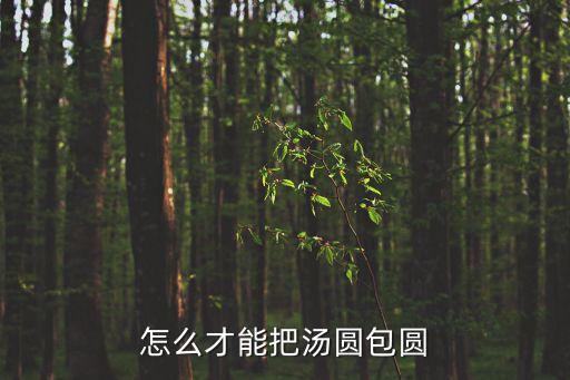 怎么才能把湯圓包圓