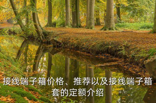 接線端子箱價(jià)格、推薦以及接線端子箱套的定額介紹
