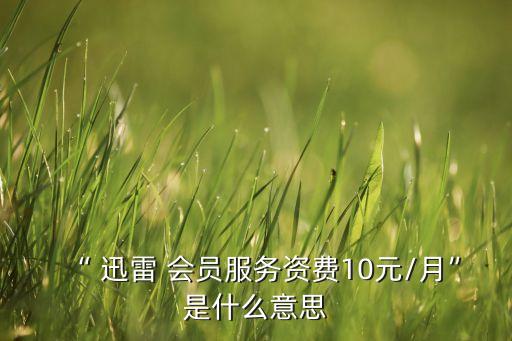 “ 迅雷 會員服務資費10元/月”是什么意思