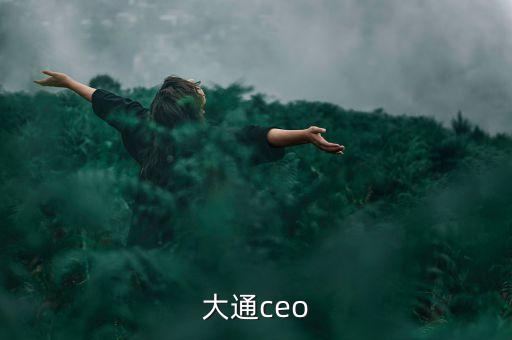 摩根大通ceo