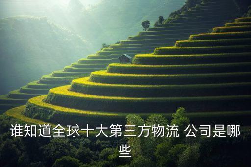 誰知道全球十大第三方物流 公司是哪些