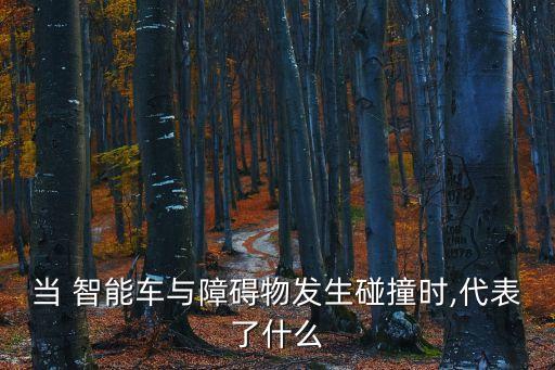 當 智能車與障礙物發(fā)生碰撞時,代表了什么