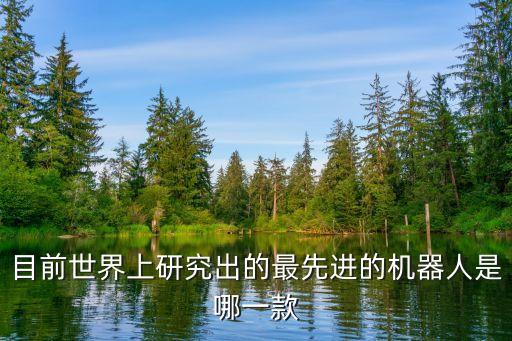 國際機(jī)器人分類,首屆機(jī)器人世界杯工程組比賽結(jié)果出爐!