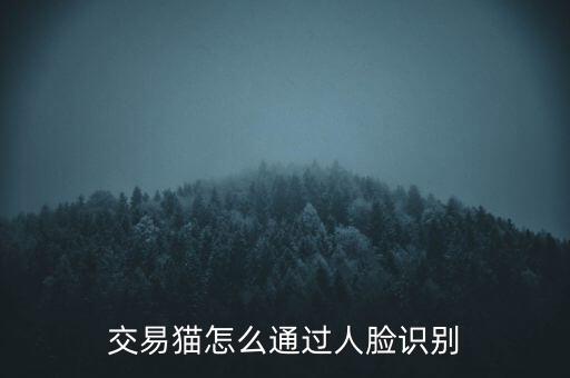 如何自制人臉數(shù)據(jù)庫,人臉識別技能如何進行培訓