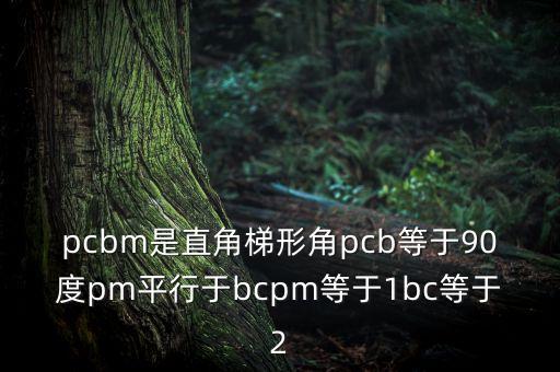 pcbm是直角梯形角pcb等于90度pm平行于bcpm等于1bc等于2