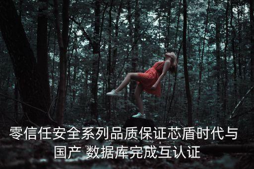 零信任安全系列品質(zhì)保證芯盾時代與 國產(chǎn) 數(shù)據(jù)庫完成互認(rèn)證