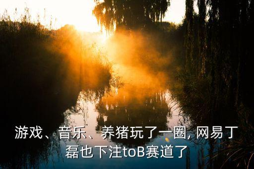 游戲、音樂、養(yǎng)豬玩了一圈, 網(wǎng)易丁磊也下注toB賽道了