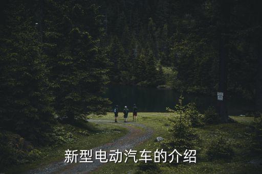 新型電動(dòng)汽車的介紹