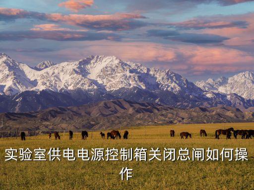 實(shí)驗(yàn)室供電電源控制箱關(guān)閉總閘如何操作