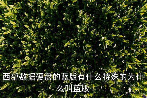 西部數(shù)據(jù)硬盤的藍(lán)版有什么特殊的為什么叫藍(lán)版
