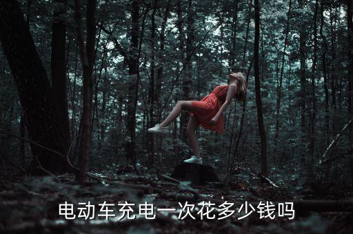 電動(dòng)車充電一次花多少錢嗎