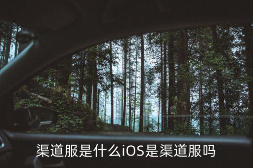 渠道服是什么iOS是渠道服嗎