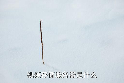 視頻存儲(chǔ)服務(wù)器是什么