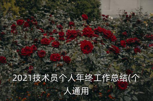 2021技術(shù)員個(gè)人年終工作總結(jié)(個(gè)人通用