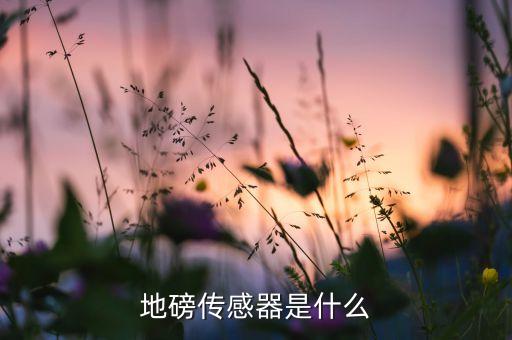 地磅傳感器，地磅傳感器是什么