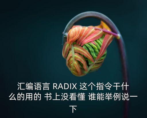 匯編語言 RADIX 這個指令干什么的用的 書上沒看懂 誰能舉例說一下