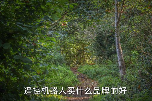 遙控機(jī)器人買什么品牌的好