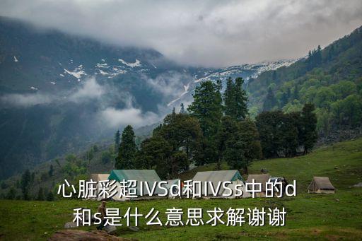 心臟彩超IVSd和IVSs中的d 和s是什么意思求解謝謝