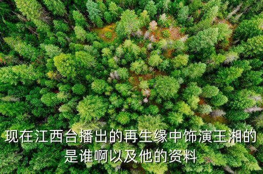 現(xiàn)在江西臺播出的再生緣中飾演王湘的是誰啊以及他的資料