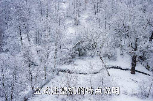立式注塑機(jī)的特點(diǎn)說明
